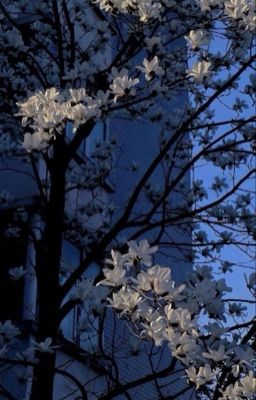 [ĐN BSD] Bản Thảo Viết Dở Của Số Phận