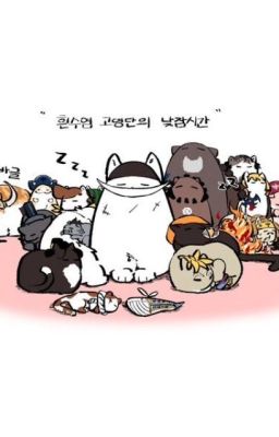 (đn Onepiece) cậu là ai thế ?