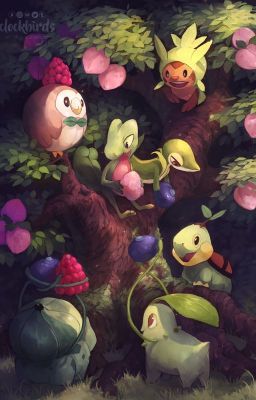 ĐN Pokémon -The Kalos Chronicles