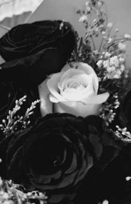 [ĐNBLUELOCK] Kẻ simp tình 