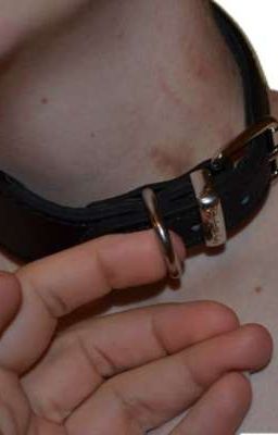 đồ chơi yêu thích