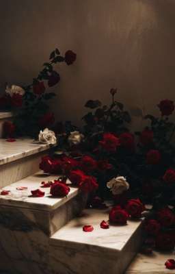 Độc dược [SơnBình/ABO]