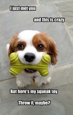 Dog rp (always active)