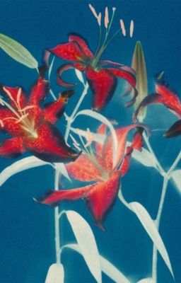 Đời (Kim Ryul) bất công