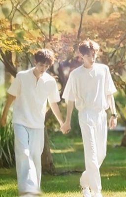 Domino (多米诺骨牌 )