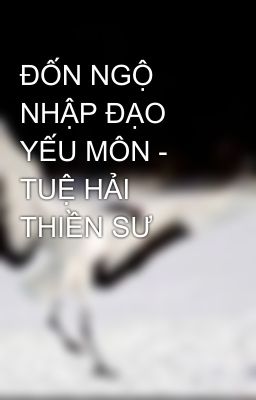 ĐỐN NGỘ NHẬP ĐẠO YẾU MÔN - TUỆ HẢI THIỀN SƯ