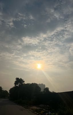 đơn phương.