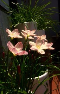 don't know 𐙚 ˚ts