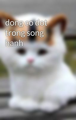 dong co dot trong song hanh