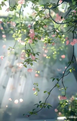 Đồng nhân Đạo mộ 3.1