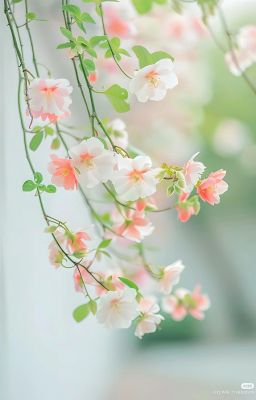 Đồng nhân Đạo mộ 3.4
