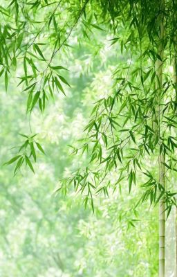 Đồng nhân Đạo mộ