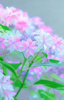 Đồng nhân Đạo mộ 5.7