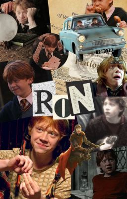 [ Đồng nhân Harry Potter] Les silences de la bibliothèque