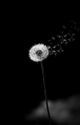 Đông Và Nỗi Nhớ