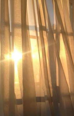 [DouHaru][YoHaji][Shortfic] Hương Nắng Còn Vương