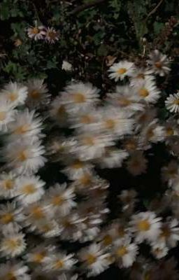 [Doze] về với em 