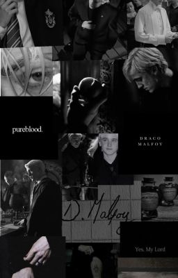 [ Draco X Y/n ] Cưới Trước, Yêu Sau Ư ?