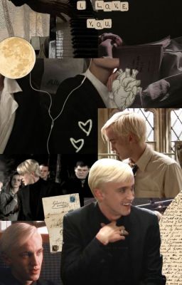 [ Draco X Y/n ]Khi Gió Mang Em Đến Bên Tôi