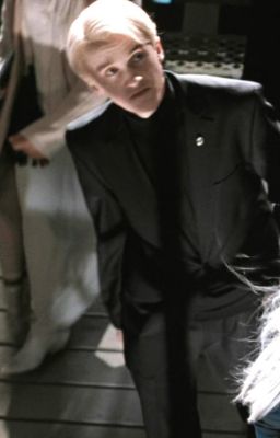 [ Draco X Y/n ]Ngài Malfoy Và Cô Thư Ký