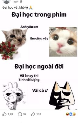 [Dragon Raja] AllPhi Tính Chuyển