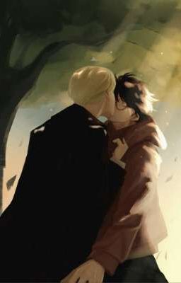 [Drarry/DraHar]-Destiny Rewritten 