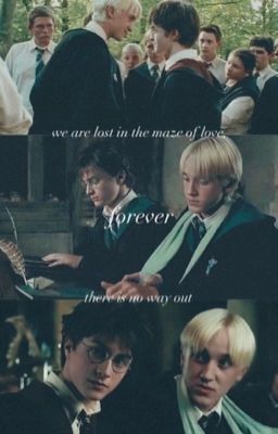 |drarry| love maze