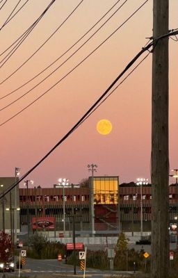 [DROP][DooGem] Bắt lại, Vương phi muốn bỏ trốn!