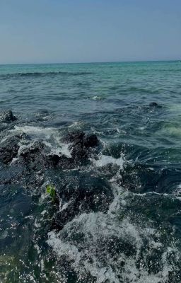 [[Drop]] ||Fakenut|| Bí Mật Của Quỷ