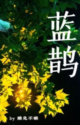 Drop Lam thước (futa)