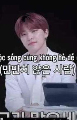 [DROP][Text] [Seventeen] Hogwarts thời hoàng kim  