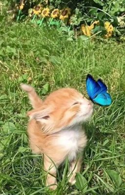 [drop | trans | auausave] bệnh