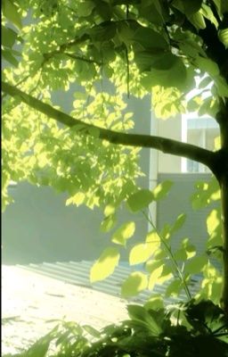[DROP/Trans] Sunjeongz/ Syongnen - Mùa hè của chúng ta sắp kết thúc rồi (*)