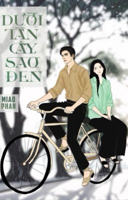 Dưới tán cây sao đen