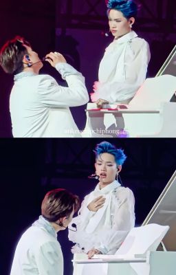 [Dương Domic & Pháp Kiều] Khúc Tình Ca Của Gã Khờ Và Đóa Hồng