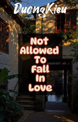 [ Dương Kiều ] Not Allowed To Fall In Love