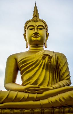 ĐƯỜNG XƯA MÂY TRẮNG - Cuộc đời Thích Ca Mâu Ni