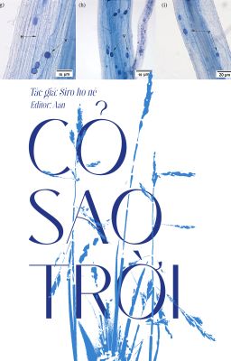 [EDIT/Đặt gạch] Cỏ Sao Trời - Siro ho nè