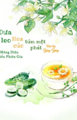 |Edit| Dưa leo hoa cúc túm một phát - Mông Diện Tiểu Phiên Gia