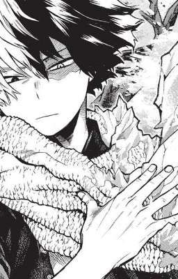edit | todobaku | khách tìm trọ