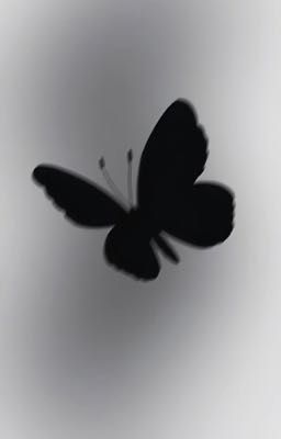 { EDIT } ViCho | Mắc Kẹt