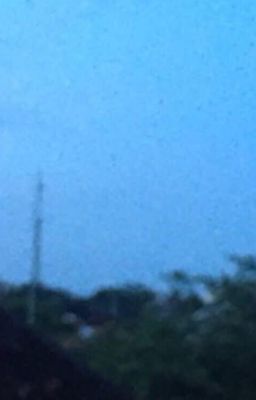 em chỉ muốn ngắm sao trời, không dám hái sao trời