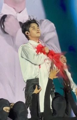 em đã trao cả cho người. | doogem