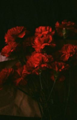 [endoutakiiendou] red carnation