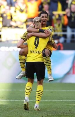 Erlingjude | bittersweet 