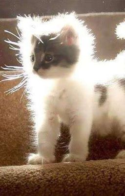 êu! thấy ghê à!