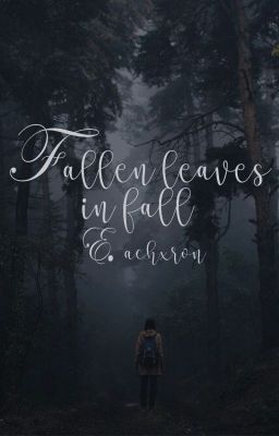 Fallen leaves in fall