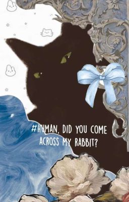 [faran] Nhiệm vụ cấp bách là tìm vợ cho Thần quân