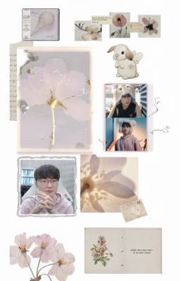 [faria] khó chiều ˚໋✧˚.🎀༘⋆ᡣ𐭩˚