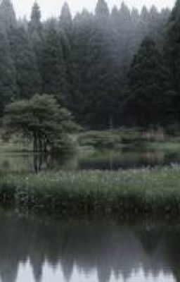 [Forsaken x Reader] Cái gai đen